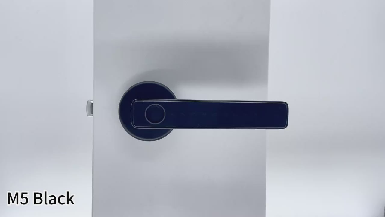 Serrure Connectée Premium à Empreinte Digitale